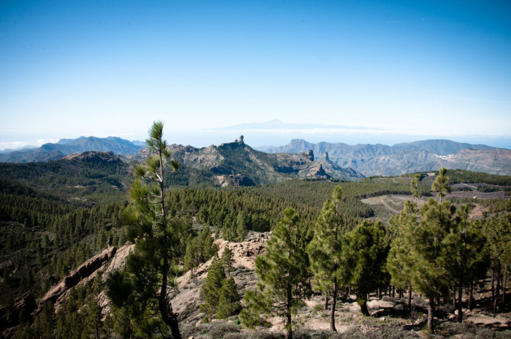 Landskapet oppe i fjellene på Gran Canaria er en opplevelse som man ikke bør gå glipp av. 